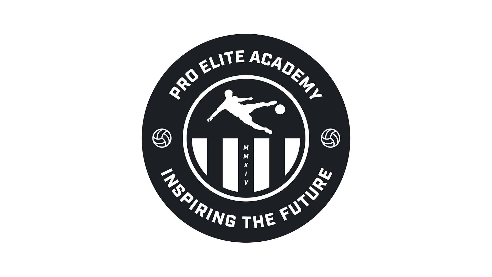 Pro Elite Academy